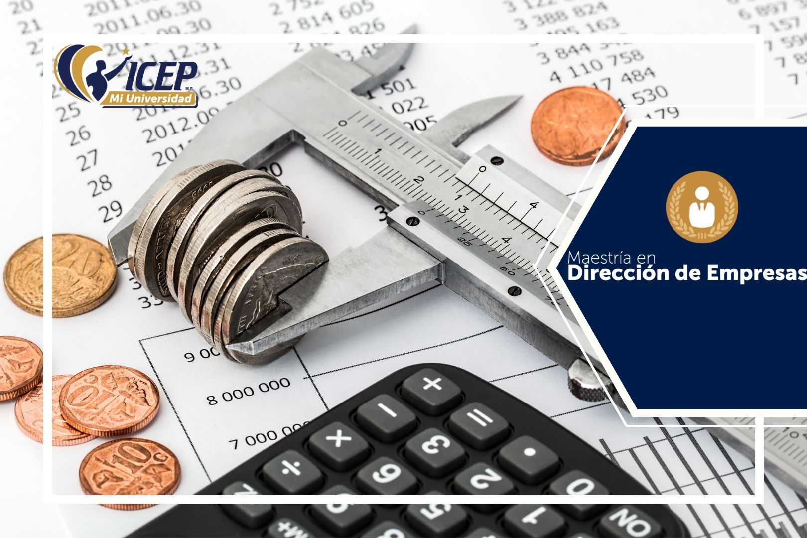 INFORMACIÓN FINANCIERA Y FISCAL - Maestría en Dirección de empresas